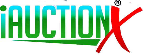 iAuctionX Logo